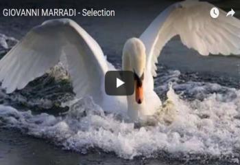 GIOVANNI MARRADI - Selection