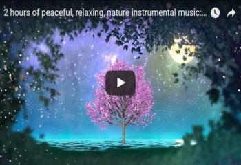 2 hours of peaceful, relaxing, nature instrumental music: 